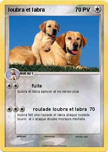 Pokemon loubra et labra