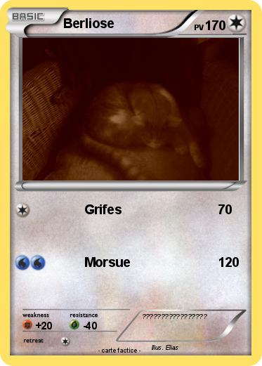 Pokemon Berliose