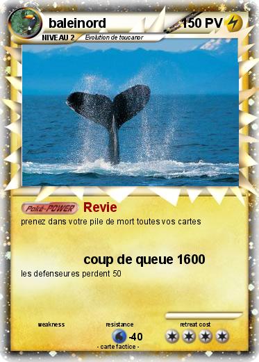 Pokemon baleinord