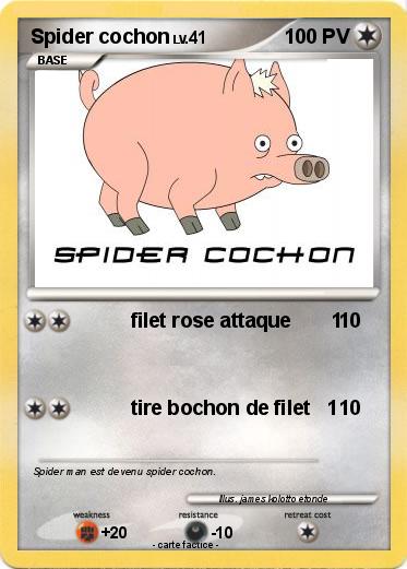 Pokemon Spider cochon