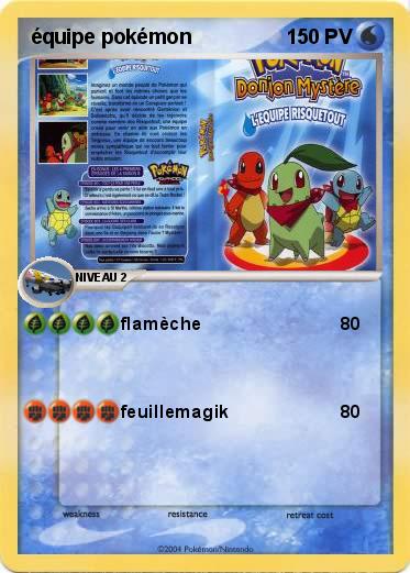Pokemon équipe pokémon