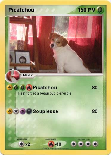 Pokemon Picatchou 