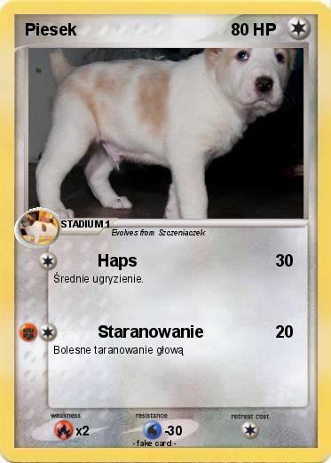 Pokemon Piesek