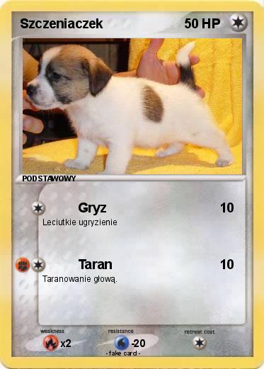 Pokemon Szczeniaczek