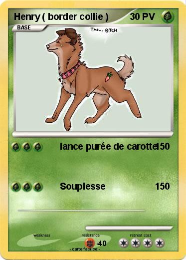 Pokemon Henry ( border collie )