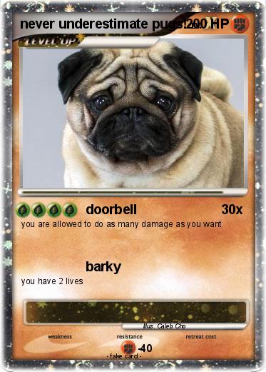 Pokemon never underestimate pugs!