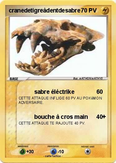 Pokemon cranedetigreàdentdesabre