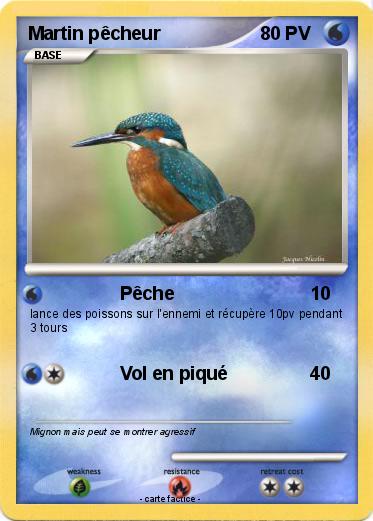 Pokemon Martin pêcheur
