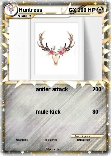 Pokemon Huntress                 GX