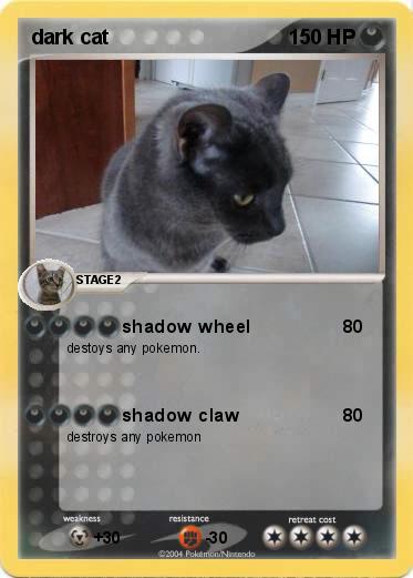 Pokemon dark cat