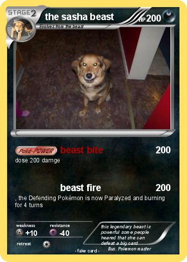 Pokemon the sasha beast