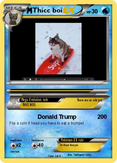 Pokemon Thicc boi