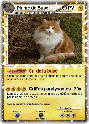 Pokemon Plume de Buse