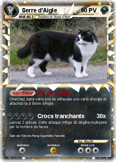 Pokemon Serre d'Aigle