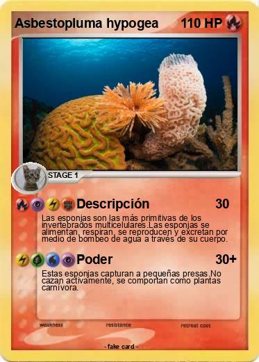 Pokemon Asbestopluma hypogea