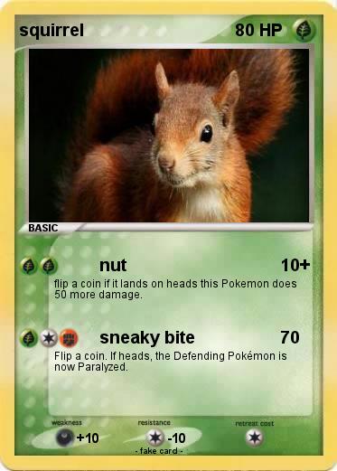 Pokemon squirrel