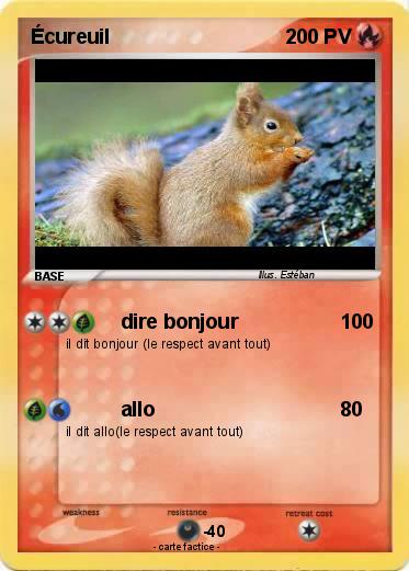 Pokemon Écureuil
