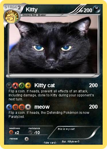 Pokemon Kitty