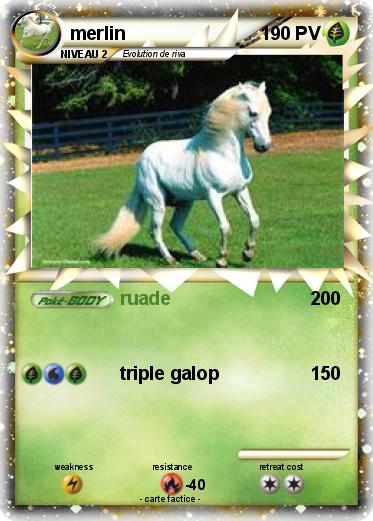 Pokemon merlin