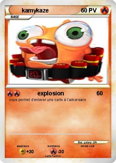 Pokemon kamykaze