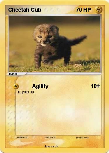 Pokemon Cheetah Cub