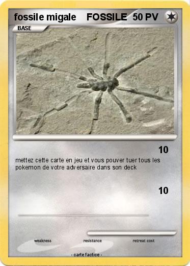 Pokemon fossile migale    FOSSILE