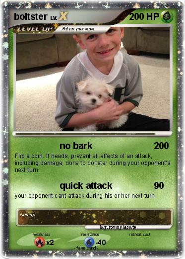 Pokemon boltster