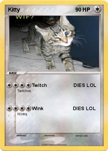 Pokemon Kitty       