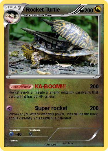 Pokemon Rocket Turtle