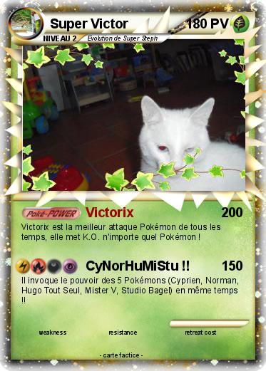 Pokemon Super Victor