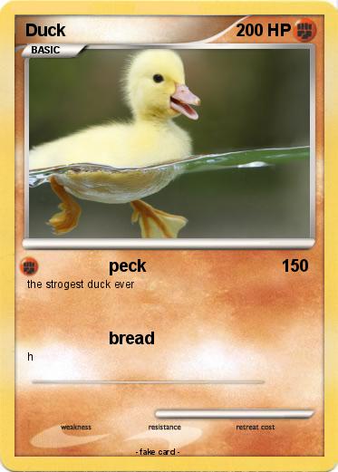 Pokemon Duck