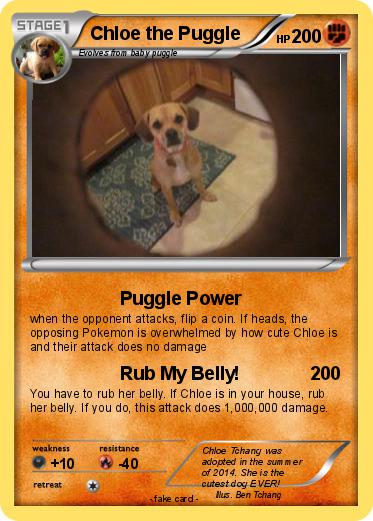 Pokemon Chloe the Puggle