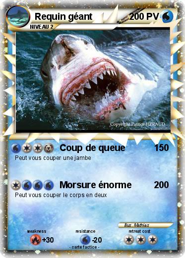 Pokemon Requin géant