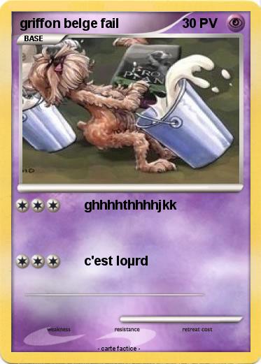 Pokemon griffon belge fail