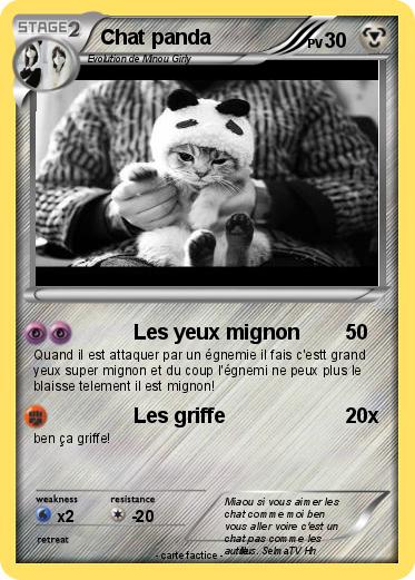 Pokemon Chat panda