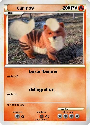 Pokemon caninos