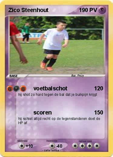 Pokemon Zico Steenhout