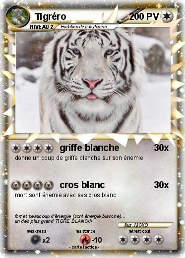 Pokemon Tigréro
