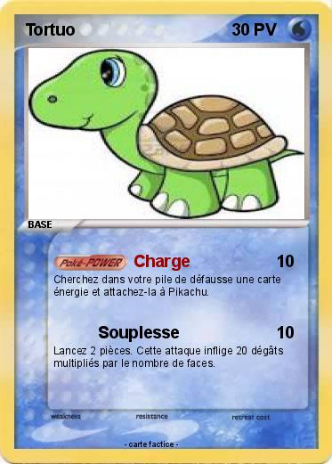 Pokemon Tortuo
