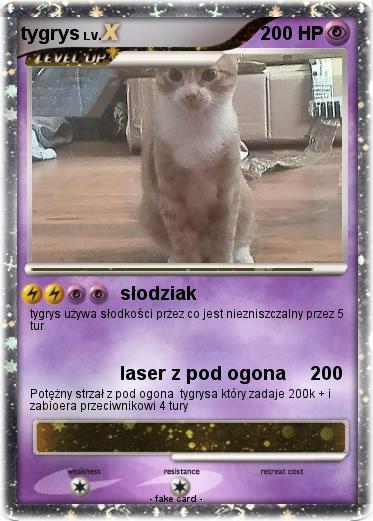 Pokemon tygrys