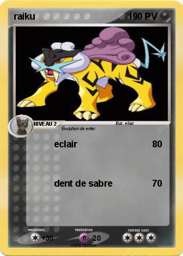 Pokemon raiku