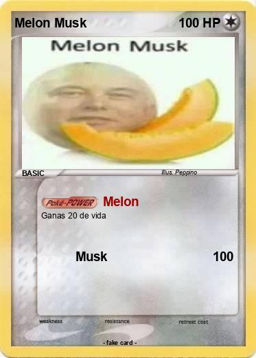 Pokemon Melon Musk