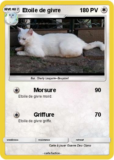Pokemon Etoile de givre