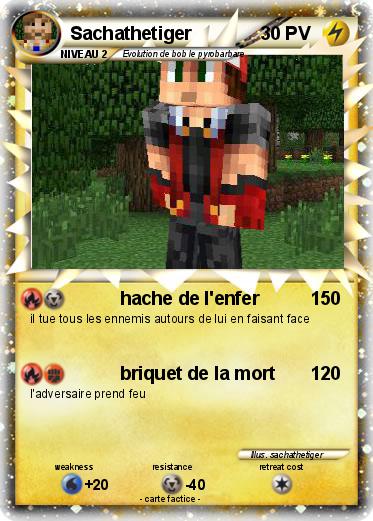 Pokemon Sachathetiger