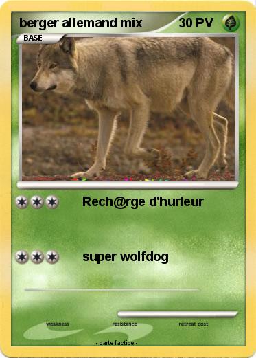 Pokemon berger allemand mix