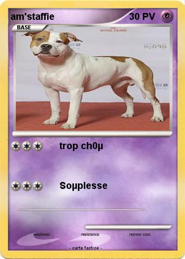 Pokemon am'staffie