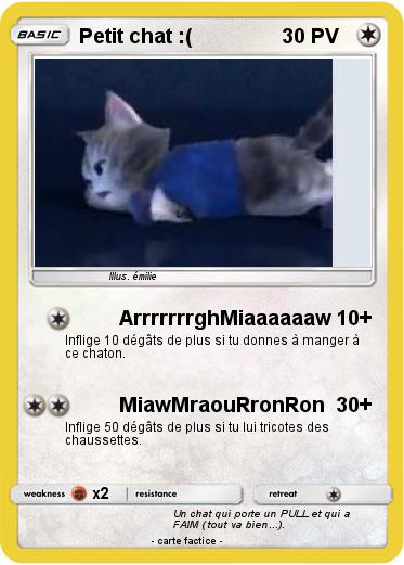 Pokemon Petit chat :(