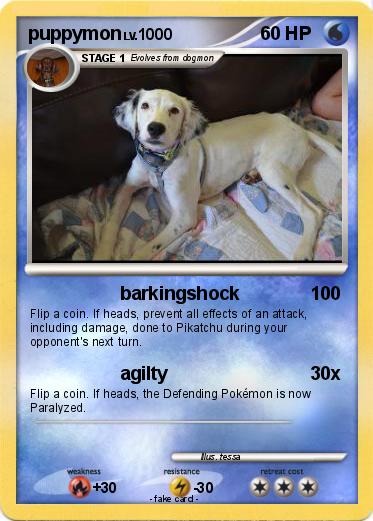 Pokemon puppymon