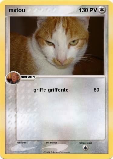 Pokemon matou