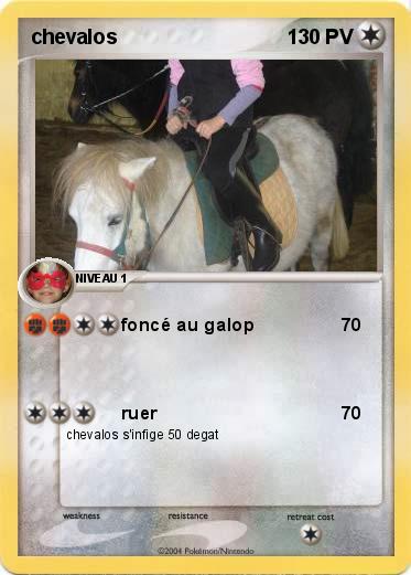 Pokemon chevalos